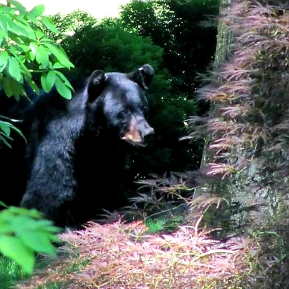 Welcome to my Page 😊💕 - Picture 6 of 8